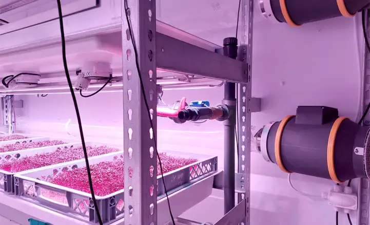 Interior of a container-based vertical farming unit with LED grow lights, irrigation system, ventilation ducts, and trays of microgreens under controlled conditions.